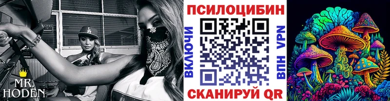 кракен ссылки  Цимлянск  Галлюциногенные грибы ЛСД 